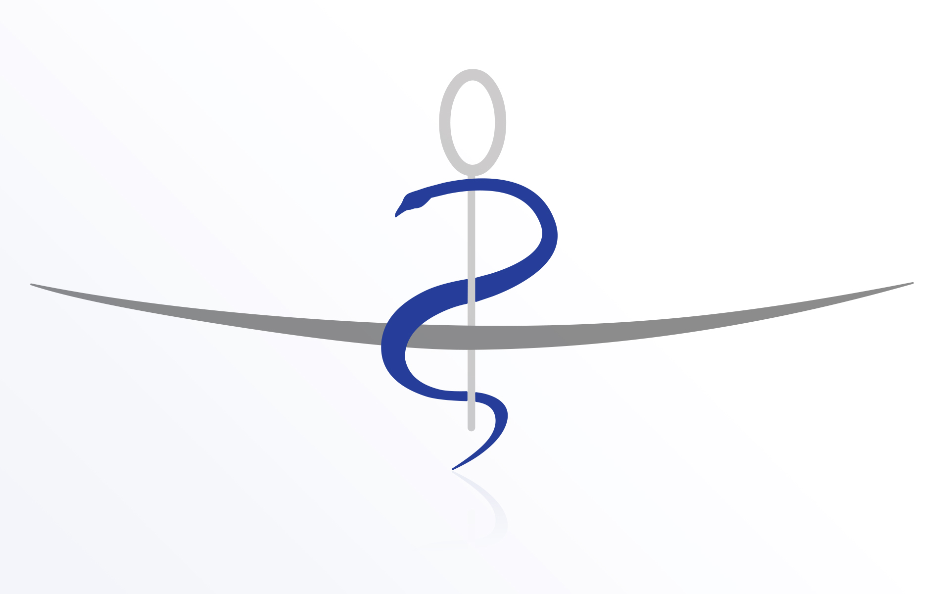 logo-conseil-national